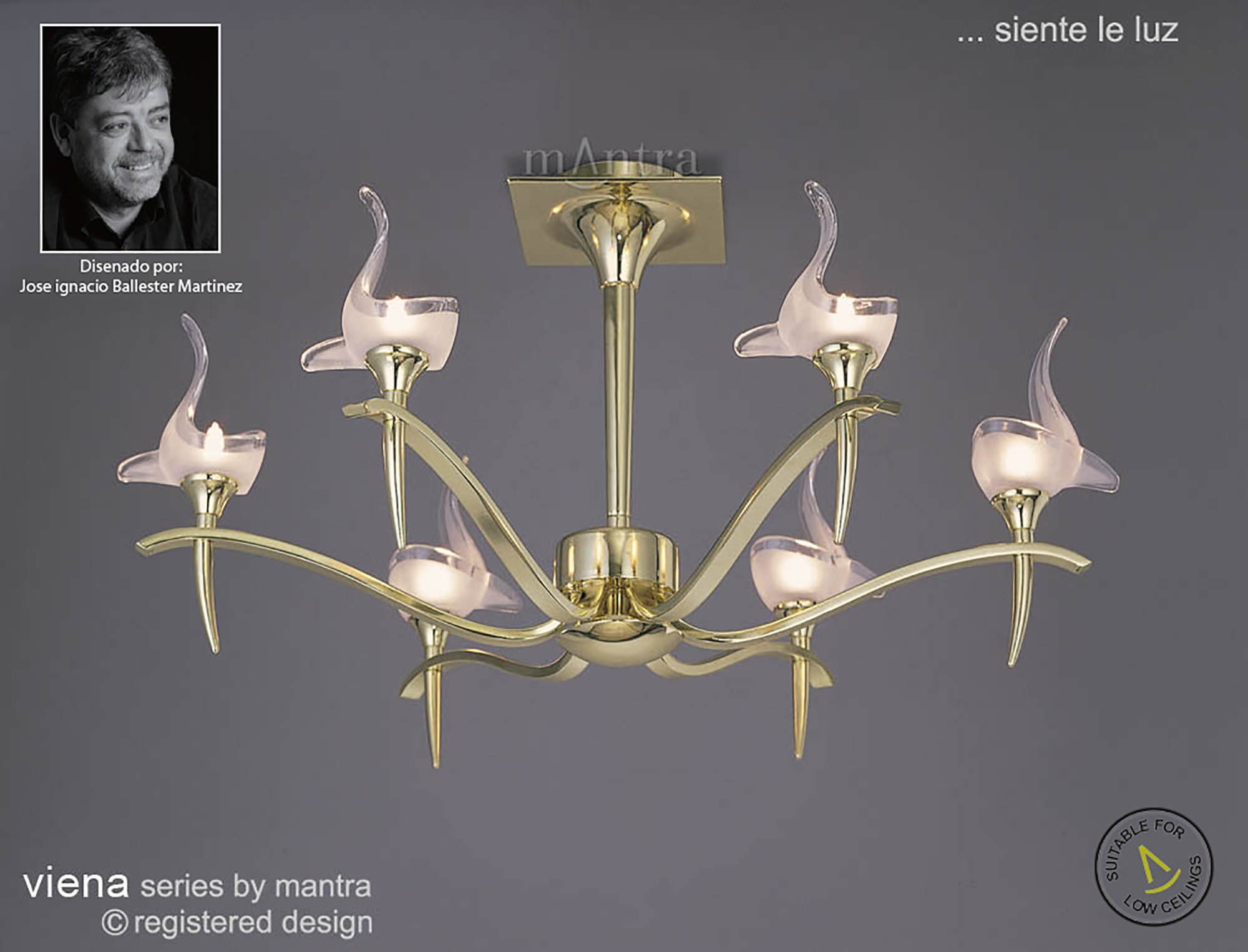 Viena PB Ceiling Lights Mantra Contemporary Ceiling Lights Viena PB Ceiling Lights Mantra Contemporary Ceiling Lights